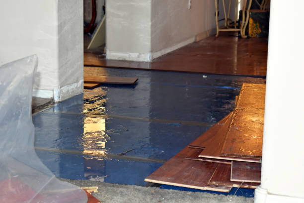 Professional Flood Damage Repair technician working in Iron Station, NC